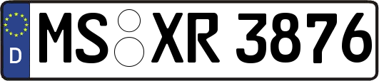 MS-XR3876