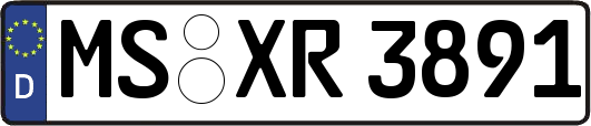 MS-XR3891