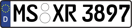 MS-XR3897
