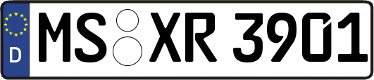 MS-XR3901