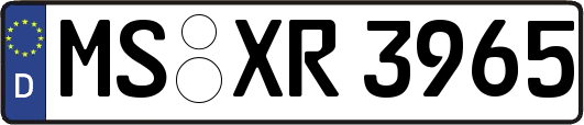 MS-XR3965