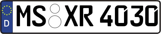 MS-XR4030