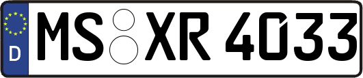 MS-XR4033
