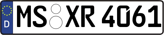 MS-XR4061