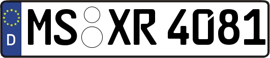 MS-XR4081