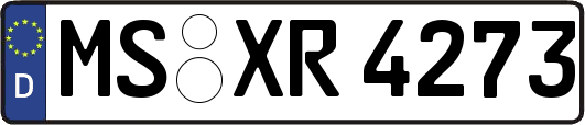 MS-XR4273