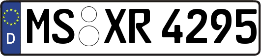 MS-XR4295