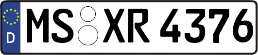 MS-XR4376