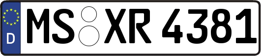 MS-XR4381