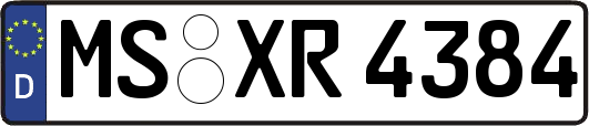 MS-XR4384