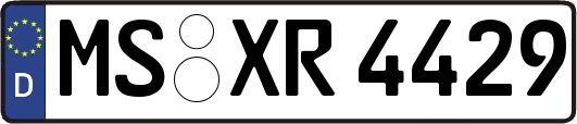 MS-XR4429