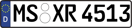 MS-XR4513
