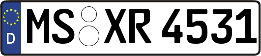 MS-XR4531