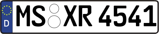 MS-XR4541