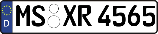 MS-XR4565