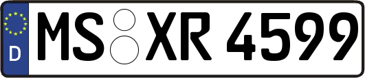 MS-XR4599