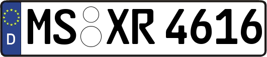 MS-XR4616