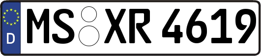 MS-XR4619