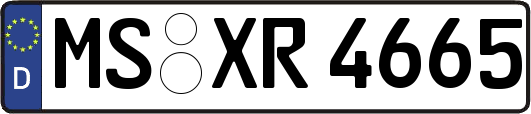 MS-XR4665