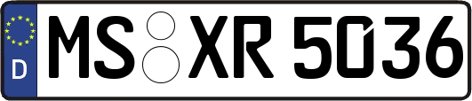 MS-XR5036