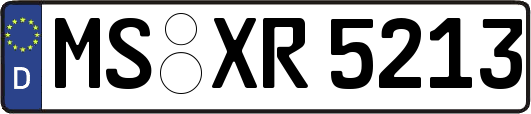 MS-XR5213