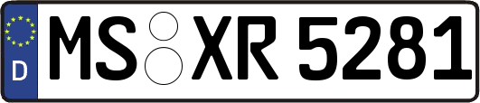 MS-XR5281