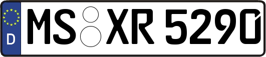 MS-XR5290