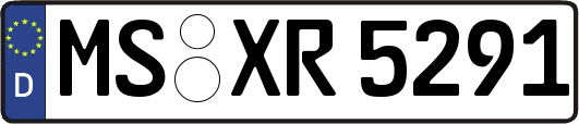 MS-XR5291