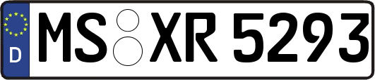 MS-XR5293