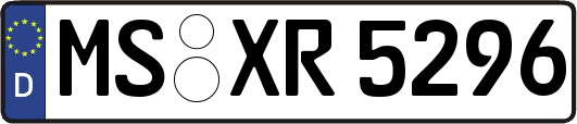 MS-XR5296