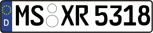 MS-XR5318