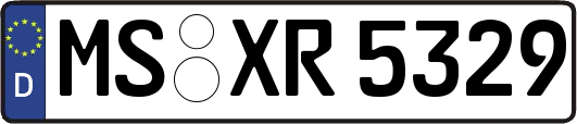 MS-XR5329