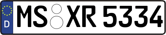 MS-XR5334