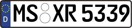 MS-XR5339