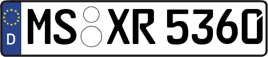 MS-XR5360