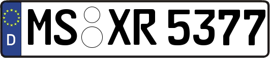 MS-XR5377