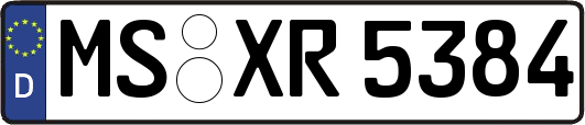 MS-XR5384
