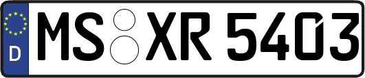 MS-XR5403