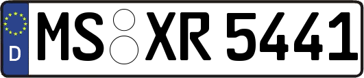 MS-XR5441