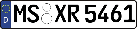 MS-XR5461