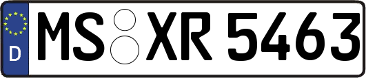 MS-XR5463