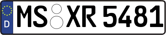 MS-XR5481