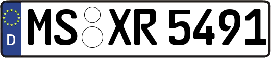 MS-XR5491