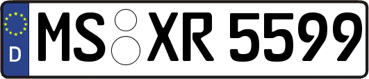 MS-XR5599