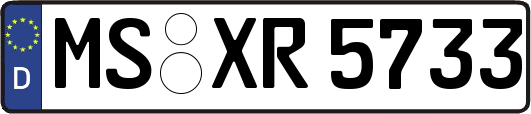 MS-XR5733