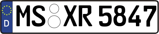 MS-XR5847