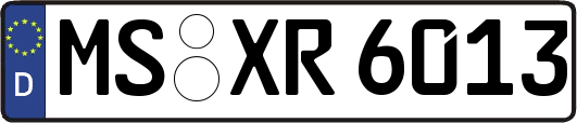 MS-XR6013