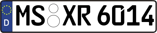 MS-XR6014