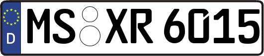 MS-XR6015