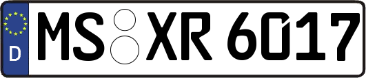 MS-XR6017